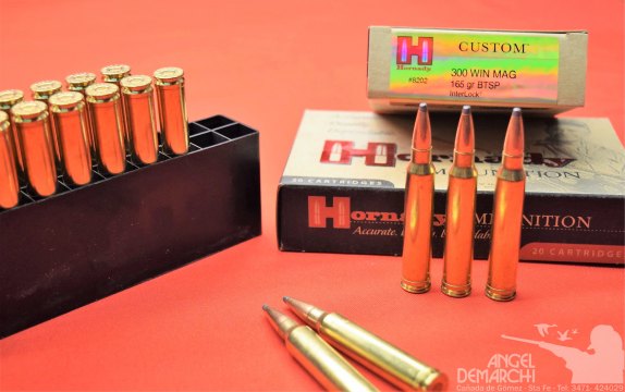 MUNICION HORNADY .300 165 Gr BTSP