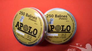 BALINES APOLO 5.5 CHAMPION (DORADO) 250