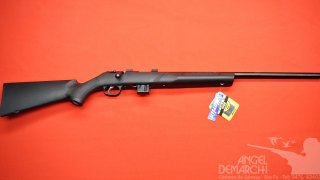 CARABINA MARLIN A CERROJO XT-17VR SINTETICA/PAVON  CAL .17 HMR