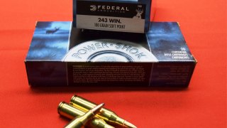 MUNICION FEDERAL .243 POWER SHOK 100 Gr