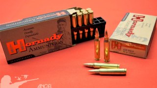 MUNICION HORNADY .223 VARMINT EXPRESS 55 Gr - V-MAX #8327