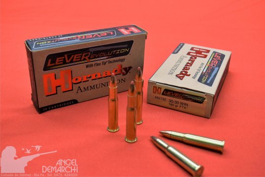 MUNICION HORNADY .30-30 FTX LVR 160 GR FTX LVR