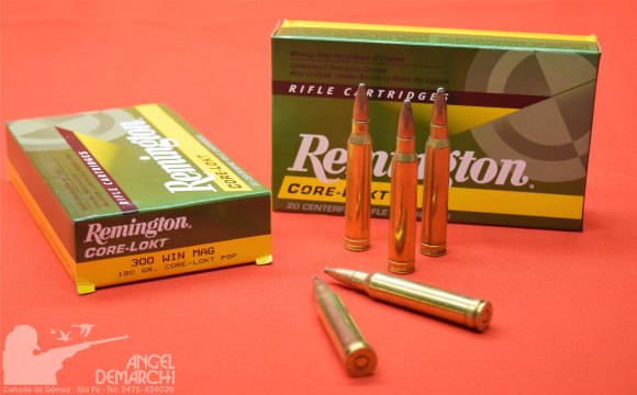 MUNICION REMINGTON .300 CORE LOCK 180 Gr PSP