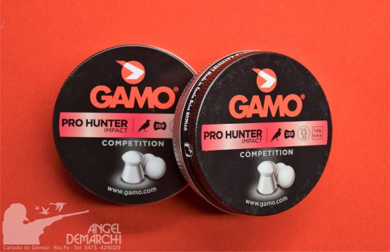 BALINES GAMO 5.5 PRO-HUNTER IMPACT 250