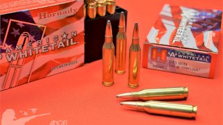 MUNICION HORNADY CAL .243 AMERICAN WHITETAIL 100 GRS BTSP 