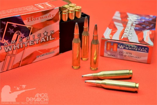 MUNICION HORNADY CAL .243 AMERICAN WHITETAIL 100 GRS BTSP 