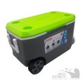 CONSERVADORA COLEMAN EXTREME 62 QT GRIS/VERDE CONSERVADORA COLEMAN EXTREME 62 QT GRIS/VERDE
