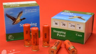 CARTUCHO STOPPING POWER CAL 16 28Gr MUN 1 
