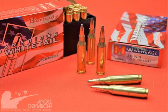 MUNICION HORNADY CAL .243 WIN 100GR BTSP AW