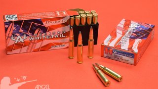 MUNICION HORNADY  CAL. 308 SP AMERICAN WHITETAIL