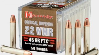 MUNICION HORNADY .22 WMR 45 GR FTX   