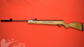 RIFLE FOX XN GR 1600 5.5 PISTON MADERA/PAVON