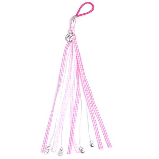 Bendición De Bicicleta