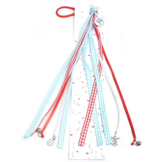 Bendición De Bicicleta