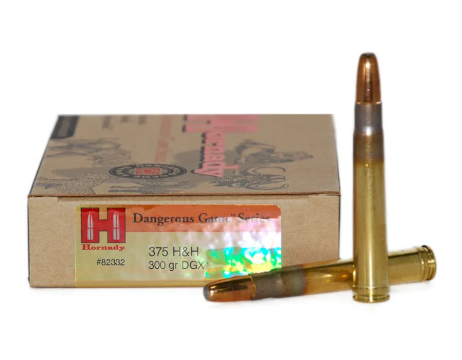 MUNICION HORNADY #82332 .375 H&H 300 Gr DGX