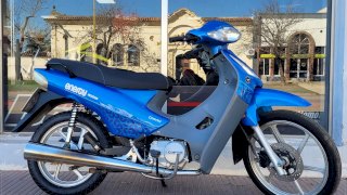 CORVEN ENERGY 110 FULL 2022 10.500 KM 