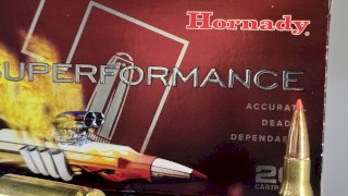 MUNICION HORNADY  SPF  CAL. 308 SST 