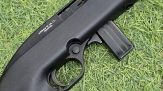 PROMOCIÓN - PROMOCIÓN - CARABINA MAGTECH 7022 CAL.22 LR SINTETICO/PAVÓN