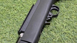 CARABINA RUGER 10/22 TAKEDOWN CAL.22 SINTETICO/PAVON (USADA)  