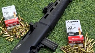 PROMOCIÓN - PROMOCIÓN - CARABINA MAGTECH 7022 CAL.22 LR SINTETICO/PAVÓN