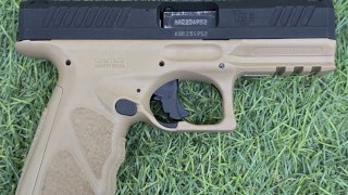PISTOLA TAURUS SEMI 9MM TS9 PAVÓN/MARRON