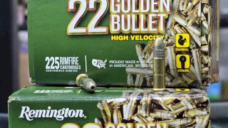MUNICION CAL 22LR REMINGTON HUECA/COBRE 36 Gr - ALTA VELOCIDAD