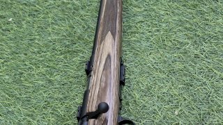 CARABINA SAVAGE MARK II BV CAL.22 LR LAMINADO/PAVON