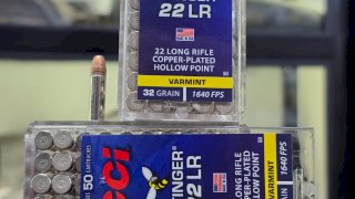 MUNICION CCI STINGER .22 LR HUECA/COBREADA 32 Gr - HP HV COB