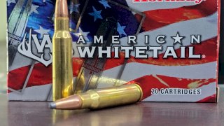 MUNICION HORNADY 308 WIN 165 Gr SP AW #80904