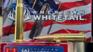 MUNICION HORNADY 30 06 SPRG 180 Gr