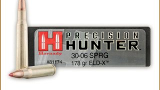 MUNICION HORNADY 30-06 PRECISION HUNTER  178 Gr ELD-X #811740