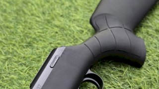 CZ 22 457 SYNTHETIC SINTETICO PAVON
