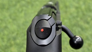 CZ 22 457 SYNTHETIC SINTETICO PAVON