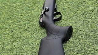 CZ 22 457 SYNTHETIC SINTETICO PAVON