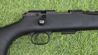 CZ 22 457 SYNTHETIC SINTETICO PAVON