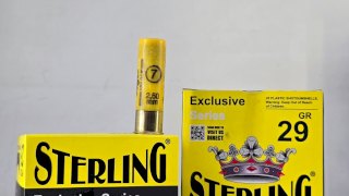CARTUCHO STERLING (TURQUIA) CAL 20 CAZA 29GR MUN 7