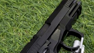 PISTOLA BERSA TPR9 PAVONADA CAL .9