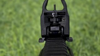 CARABINA SEMI TIPPMANN ARMS .22 M4- MICRO ELITE CUL PLEG