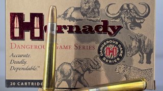 MUNICION HORNADY CAL .375 H&H #82322 300 Gr DGS