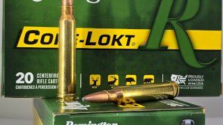 MUNICION REMINGTON CAL .300 CORE LOCK 180 Gr PSP