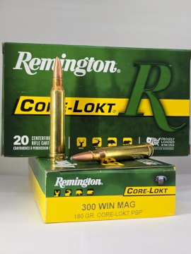 MUNICION REMINGTON CAL .300 CORE LOCK 180 Gr PSP