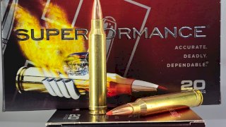 MUNICION HORNADY CAL .300 SST SPF 180 Gr SST #82193