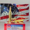 MUNICION HORNADY CAL .300 WIN MAG 180 Gr SP AW #82044