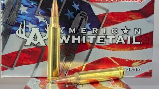 MUNICION HORNADY CAL .300 WIN MAG 180 Gr SP AW #82044