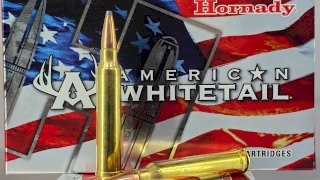 MUNICION HORNADY CAL .300 WIN MAG 150 Gr SP AW #8204