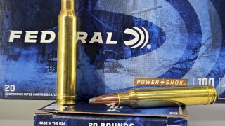 MUNICION FEDERAL CAL .300 POWER SHOK 180 Gr