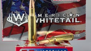 MUNICION HORNADY CAL .308 WIN 165 Gr SP AMERICAN WHITETAIL