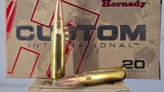MUNICION HORNADY CAL .308 CUSTOM INTERNATIONAL 180GR SP