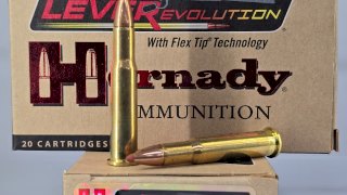 MUNICION HORNADY CAL .30-30 FTX LVR 140 GR MFX LVR