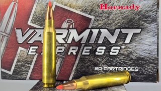 MUNICION HORNADY CAL .223 VARMINT EXPRESS 55 Gr - V-MAX #8327